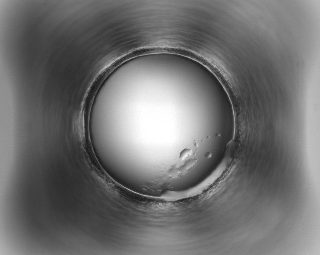 X0000093620982200710151257