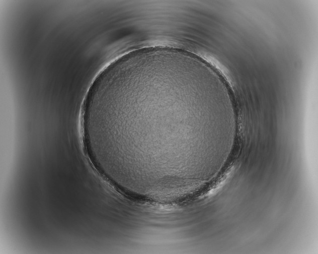 X0000093620983200710151257