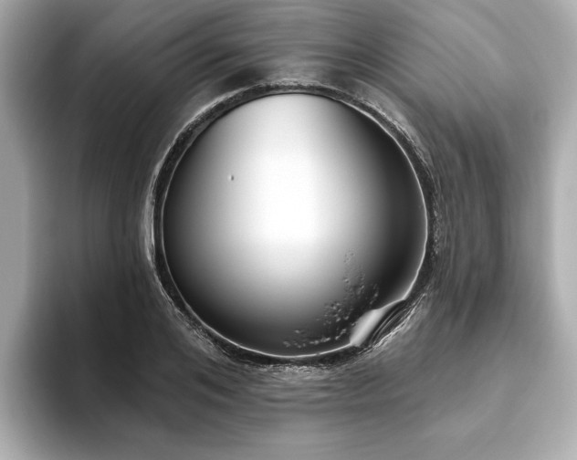 X0000093620984200710151257