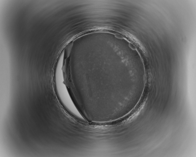 X0000093620985200710151257