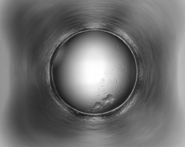 X0000093620986200710151257