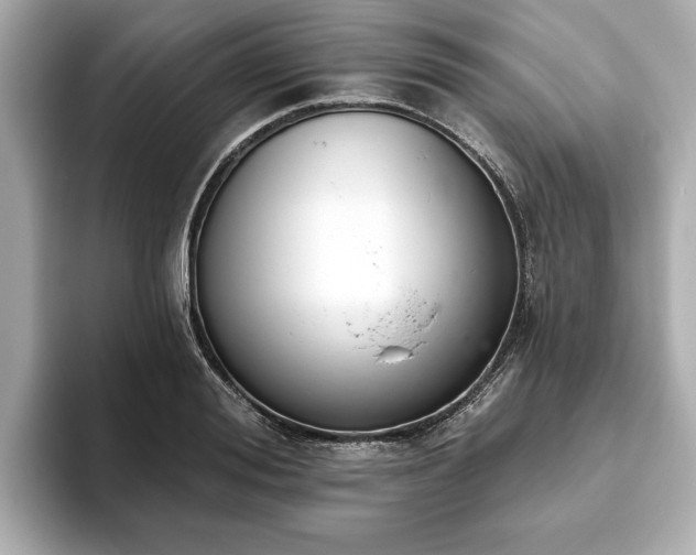 X0000093620988200710151257