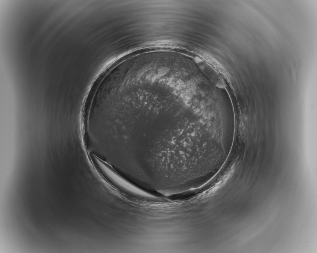 X0000093620989200710151257