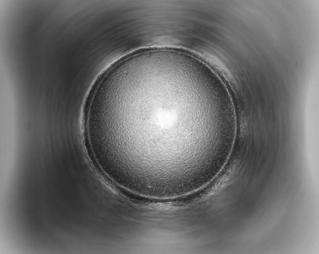 X0000093620990200710151257