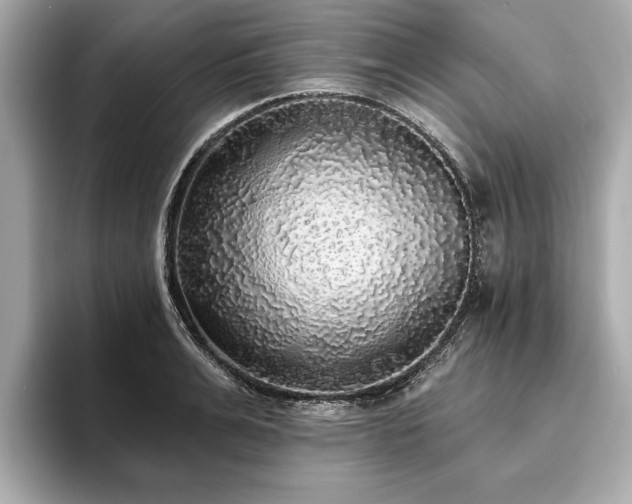 X0000093620991200710151257