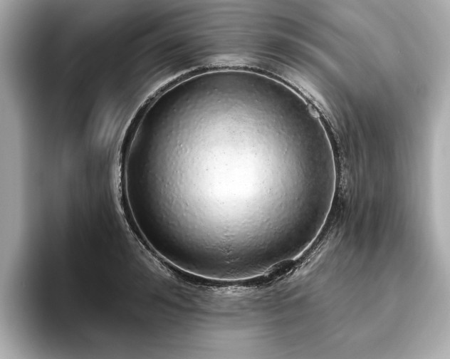 X0000093620992200710151257