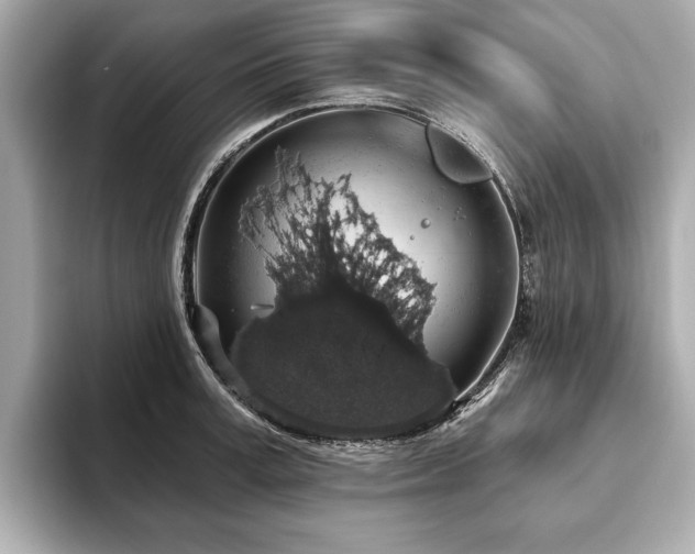 X0000093620995200710151257