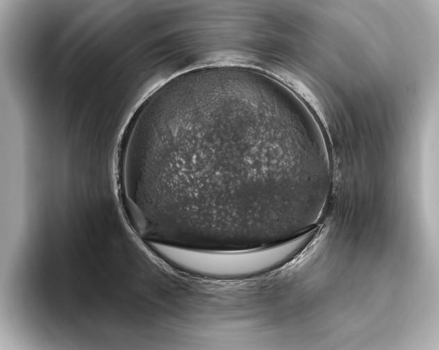 X0000093620997200710151257
