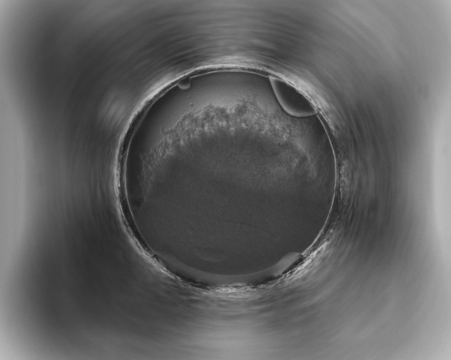 X0000093620998200710151257