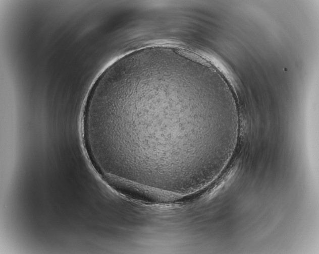 X0000093620999200710151257