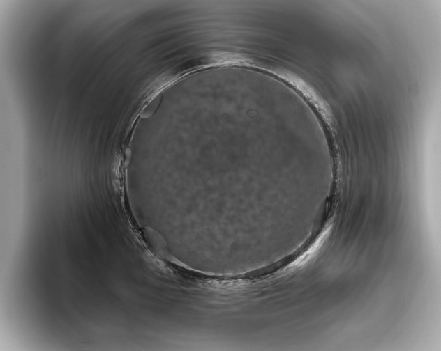 X0000093621001200710151257