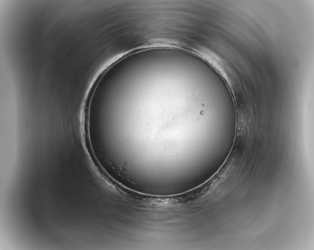 X0000093621003200710151257