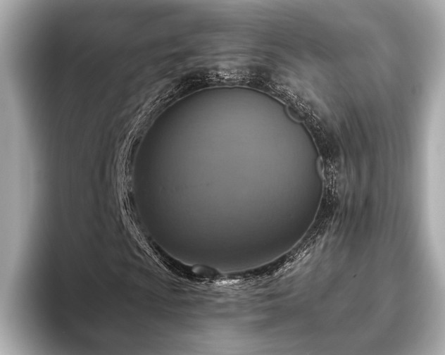 X0000093621009200710151256
