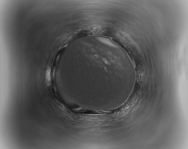X0000093621010200710151256