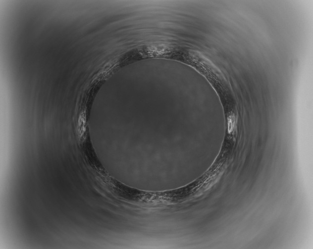 X0000093621011200710151256
