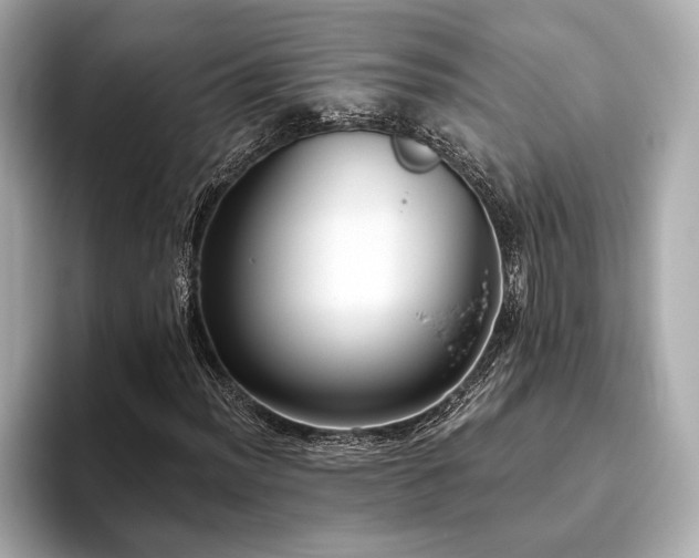 X0000093621012200710151256