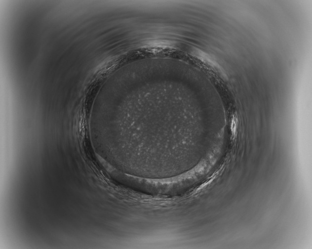 X0000093621014200710151256
