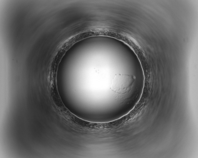 X0000093621016200710151257