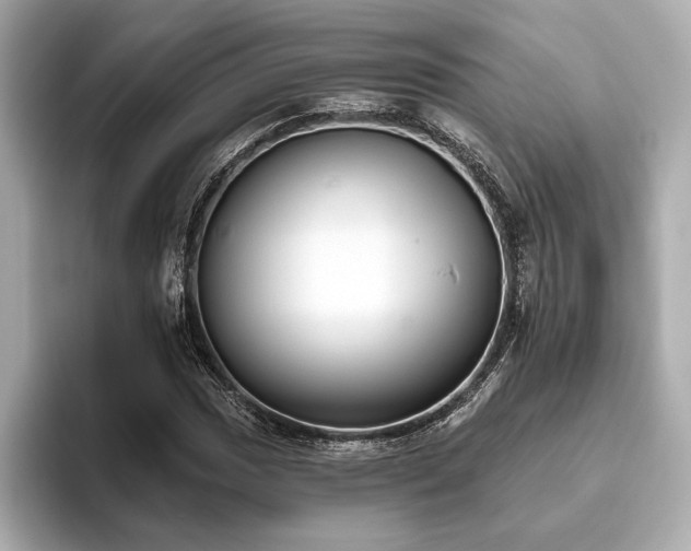 X0000093621017200710151257