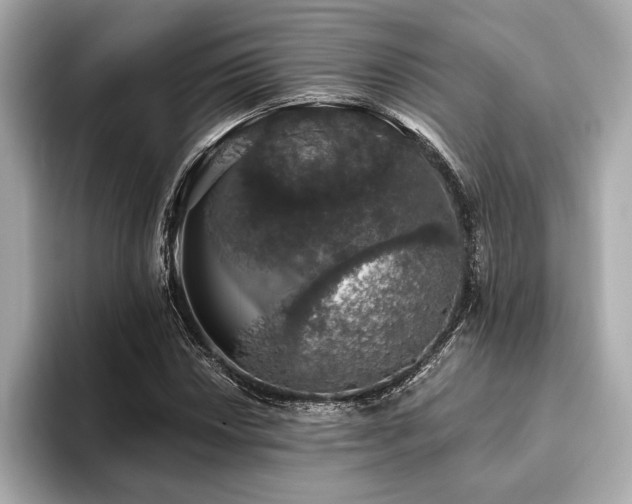 X0000093621018200710151257