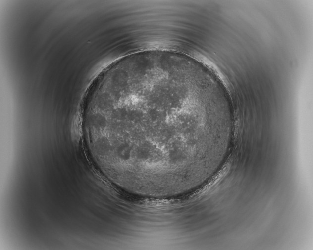 X0000093621019200710151257