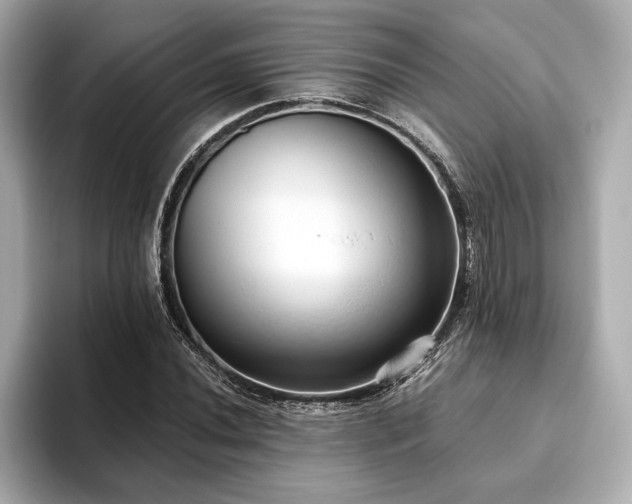X0000093621020200710151257