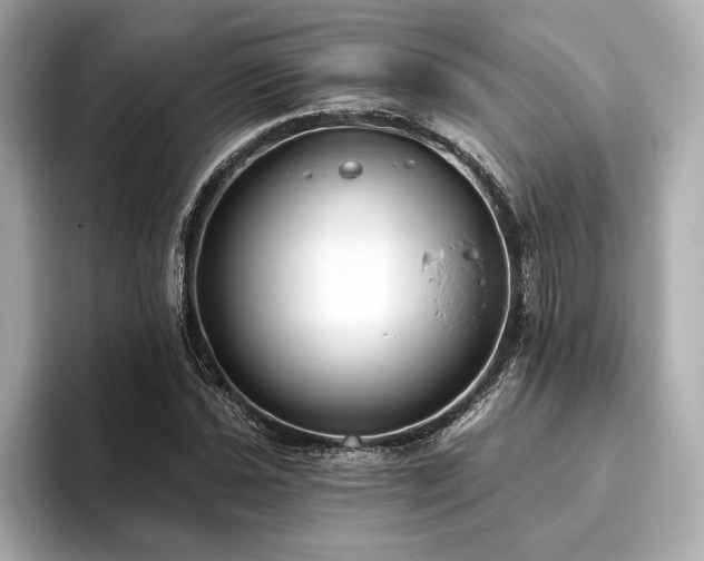 X0000093621021200710151257