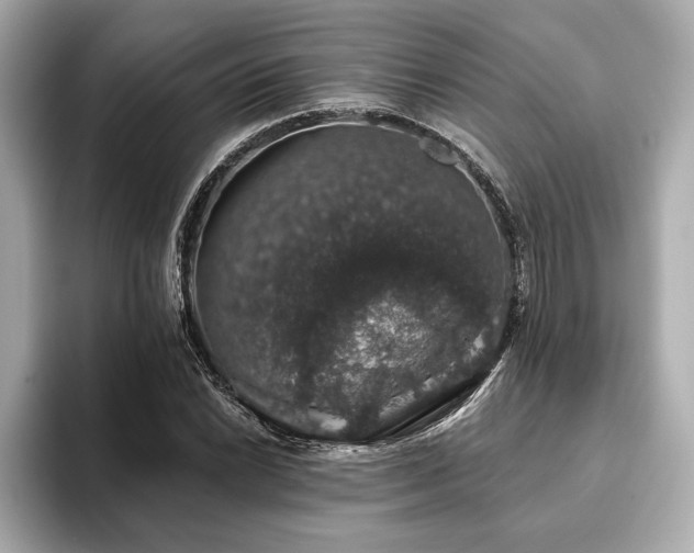 X0000093621022200710151257