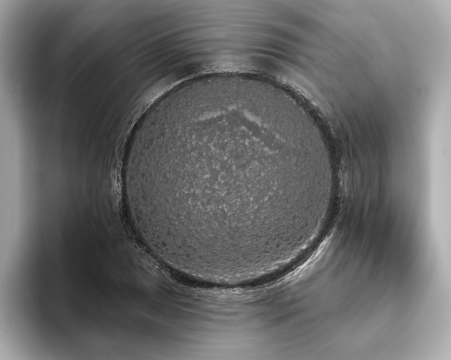X0000093621025200710151257