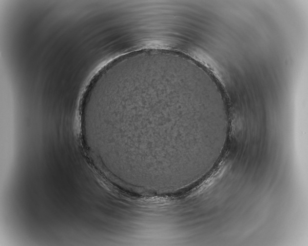 X0000093621027200710151257