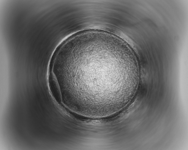 X0000093621028200710151257