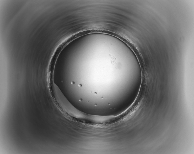 X0000093621029200710151257