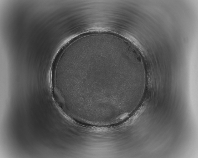 X0000093621030200710151257
