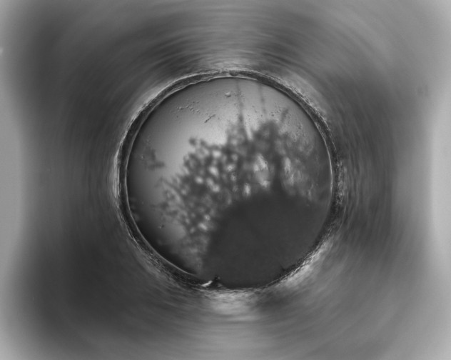 X0000093621031200710151257