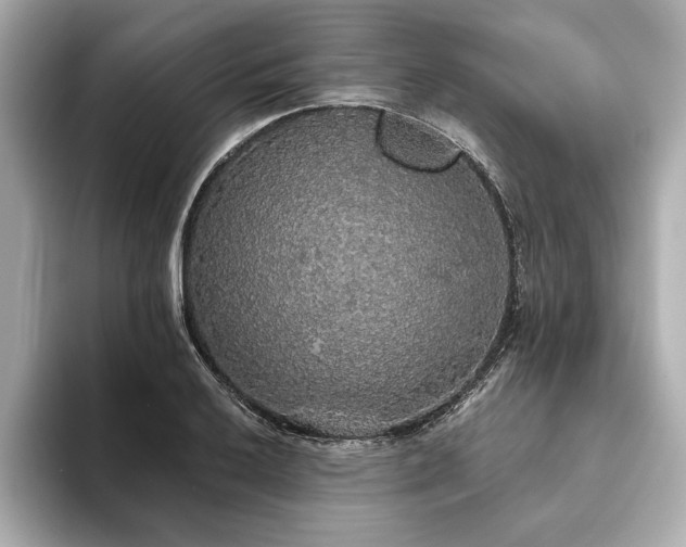 X0000093621032200710151257