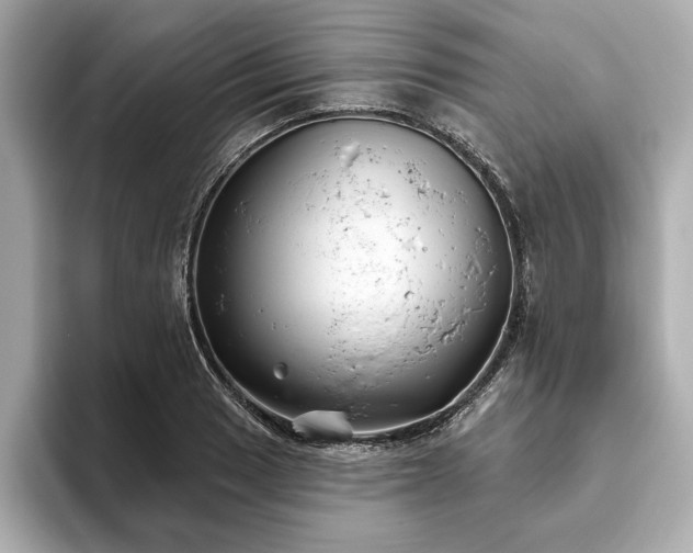 X0000093621033200710151257