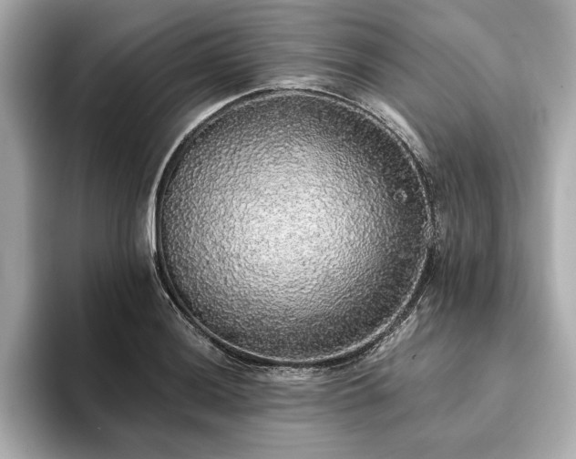 X0000093621036200710151257