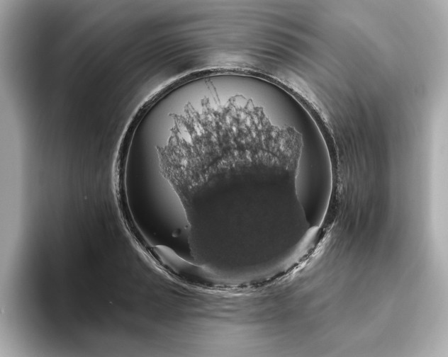 X0000093621037200710151257