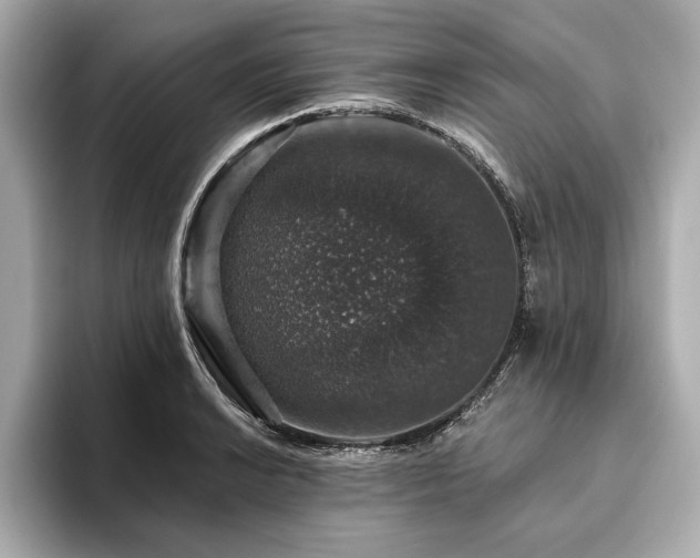 X0000093621038200710151257