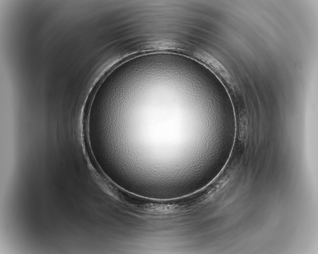 X0000093621039200710151257