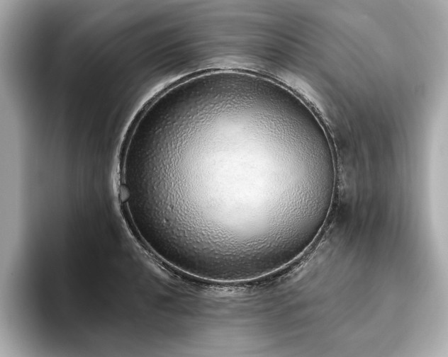 X0000093621040200710151257