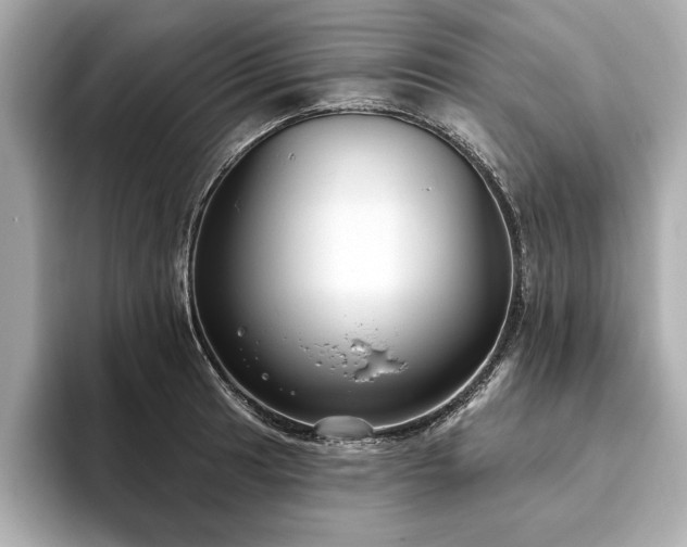 X0000093621041200710151257