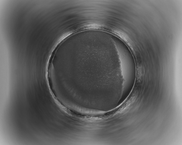 X0000093621042200710151257