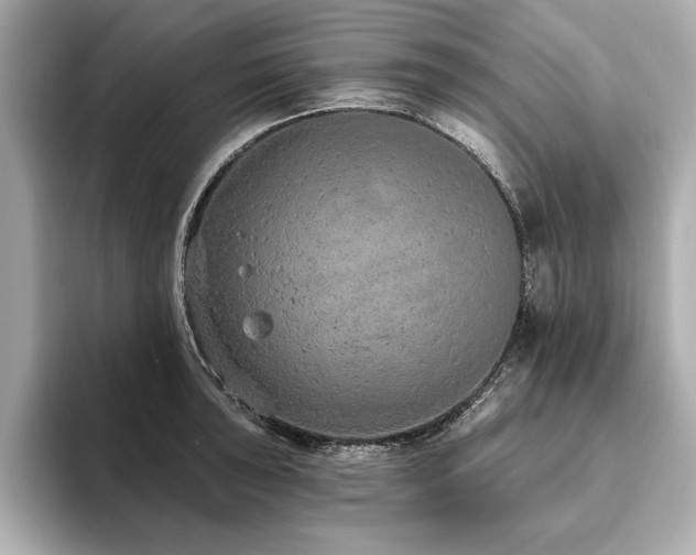 X0000093621043200710151257