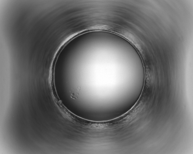 X0000093621044200710151257
