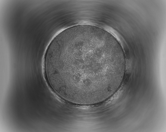 X0000093621048200710151257