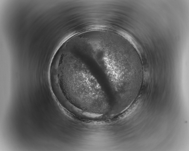 X0000093621050200710151257