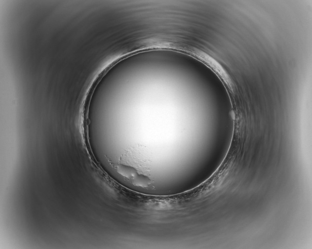 X0000093621051200710151257