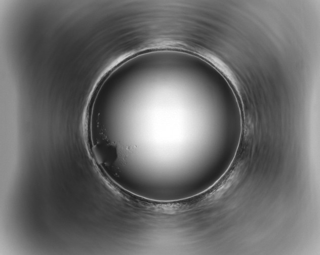 X0000093621053200710151257