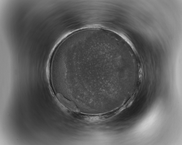 X0000093621054200710151257
